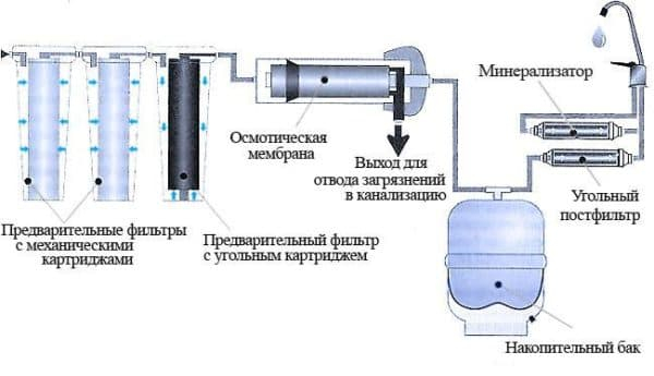 lider_07-600x345.jpg