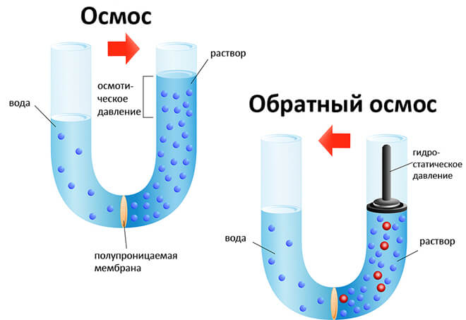 obr-os-1_0.jpg